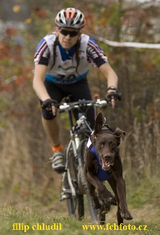 Trnavka 08 - 035.jpg